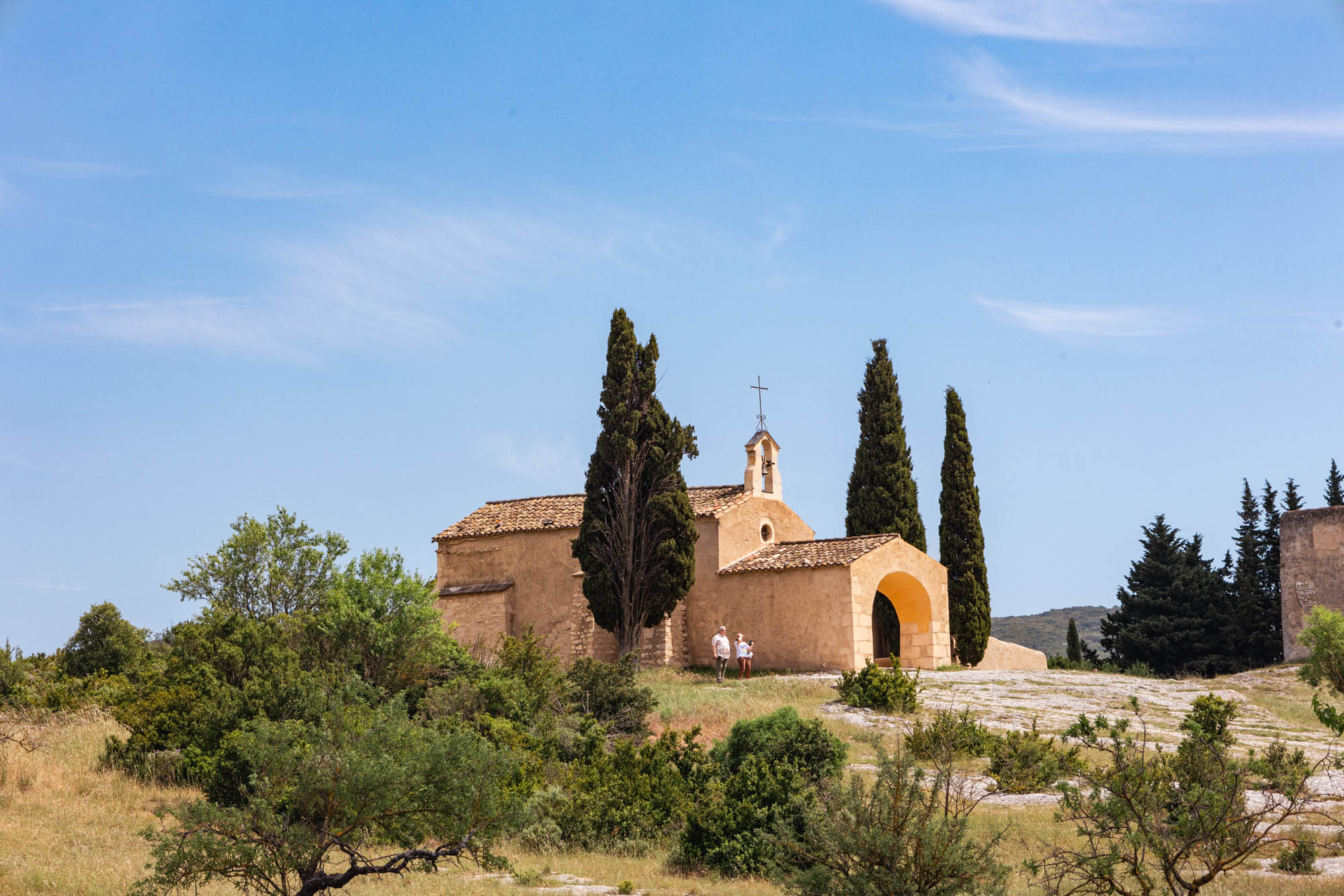 chapelle Saint sixte au milieu des chmaps d'olivier à Eygalières